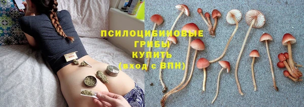 соль курить ск Алексеевка