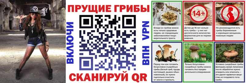 blacksprut tor  продажа наркотиков  Отрадная  Псилоцибиновые грибы Magic Shrooms 